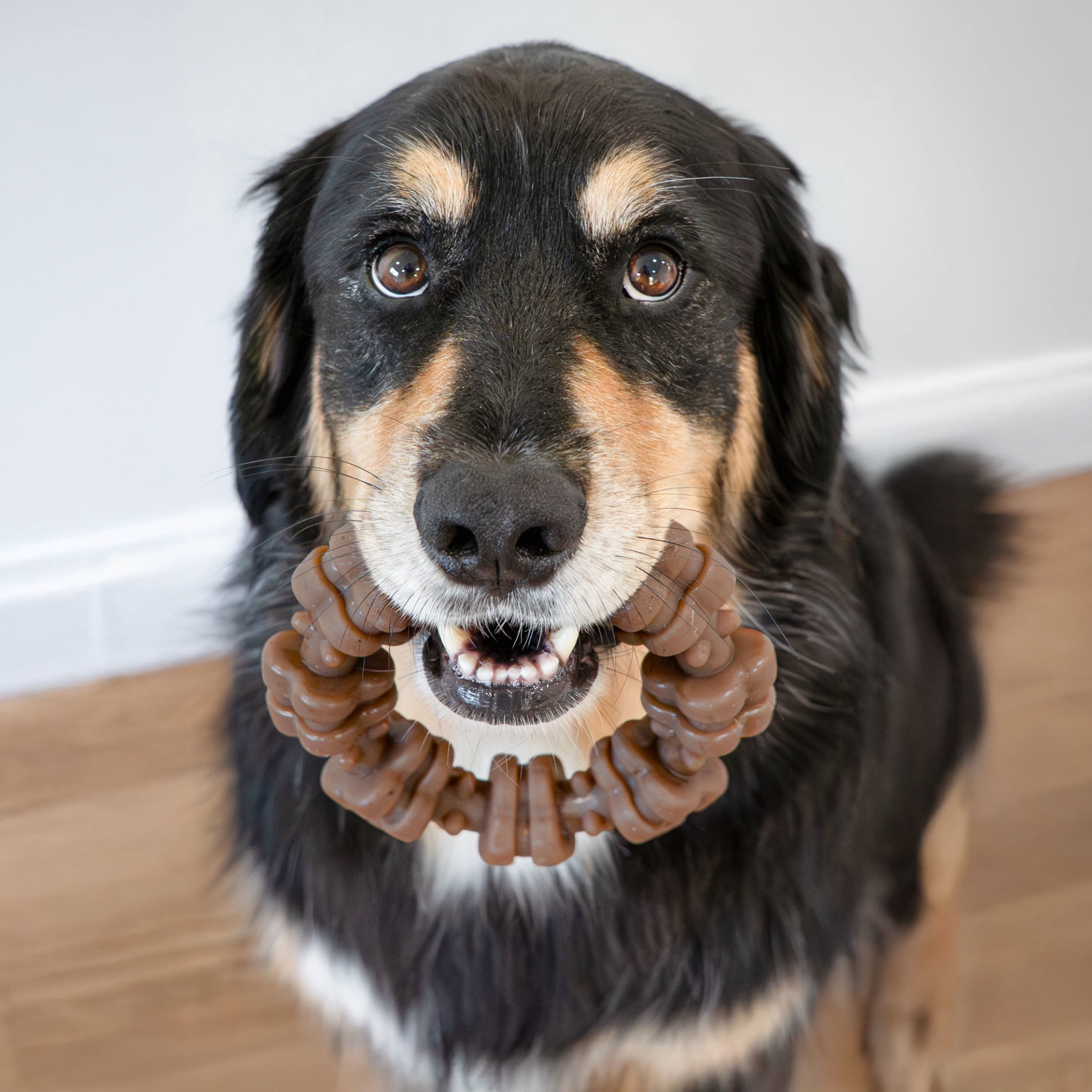 Nylabone Strong Chew Textured Ring Dog Toy, Dog Chew Toy, Made with Real Beef & Chicken Flavor, X-Large, 1 Count
