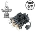 thumbnail image 2 of Novelty Lights Clear 100 Light Incandescent Mini Christmas String Lights, Black Wire, 22 Feet, 2 of 5