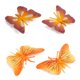 thumbnail image 5 of 6PCS de mariposas reales de suaves para niños de cumpleaños de Navidad Modelo educativo de , Color de lámpara color cro CUTICAT Niños Insectos Animales Juguetes, 5 of 8