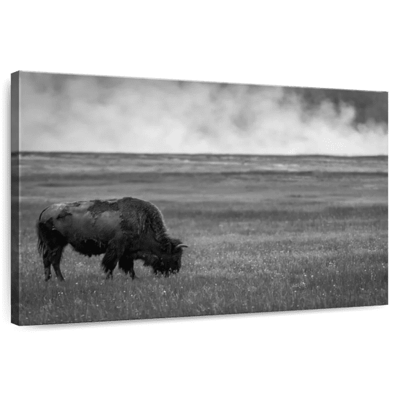 Elephant Stock Yellowstone National Park Wall Art - Horizontal Canvas Wall Art - Living Room Wall Decor - Animal Canvas - Black And Gray Decor By Jessica Hendricks - 12" x 8"