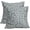 Blue, variant on Sage Green Floral Pillow Covers 18x18 Inch Set of 2, Rustic Cottage Style Cute Flower Block Print Decorative Throw Pillow Cases Cushion Covers Vintage Decoration Gift Farmhouse Sofa Couch Bed Decor