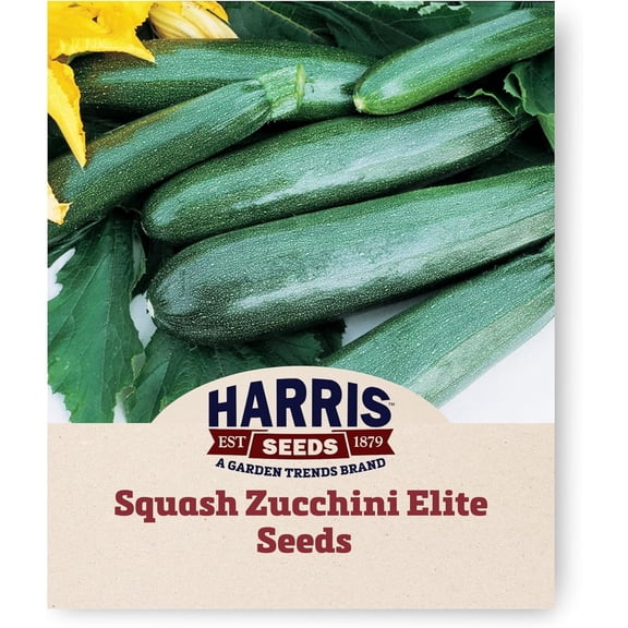 Harris Seeds Squash Zucchini Elite F1, Classic Cylindrical Shape, Treated, 25 Count