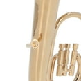 thumbnail image 3 of Modelo de Tuba en miniatura, Bombardino chapado en oro y Latón, Mini Tuba en miniatura, instrumento musical, modelo de regalo con Base, 3 of 8