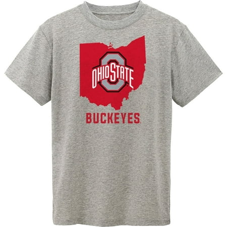 - Youth Gray Ohio State Buckeyes State T-Shirt