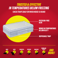 thumbnail image 5 of Catchmaster Cold Weather Glue Traps Indoor for Home 6-PK, Winter Glue Trap for Rodents, 5 of 8