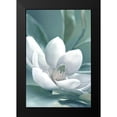 thumbnail image 2 of Delimont, Danita 11x14 Black Modern Framed Museum Art Print Titled - Magnolia Morning, 2 of 5