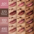 thumbnail image 6 of L'Oreal Paris Blurfiller Blurring Lip Contour Lip Liner, Tea Time, 0.21 oz, 6 of 11