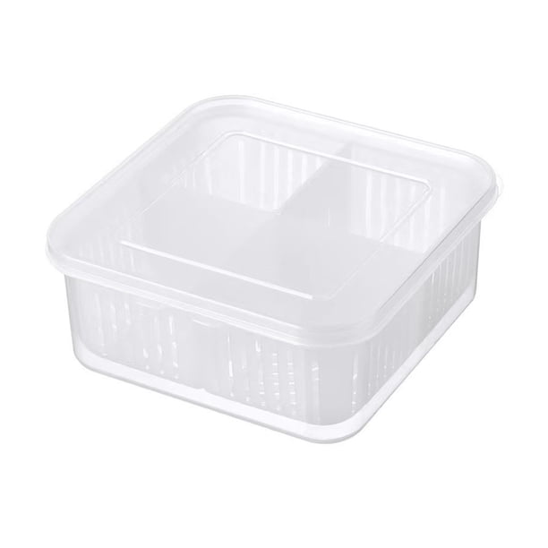 Billuyoard Sellado de frescura del contenedor de PP de calidad alimentaria para un almacenamiento más prolongado en la cocina para cebolletas y Almacenamiento y organización del hogar