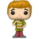 thumbnail image 1 of Pop Shaggy W/Sandwich Funko Animation Hanna Barbera, 1 of 2