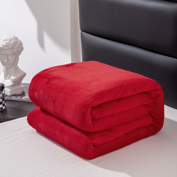 Bedding Blanket Lightweight Fuzzy Soft Anti-Static Microfiber Bed Blanket