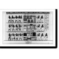 thumbnail image 2 of Historic Framed Print, [Egyptian antiquities in the Sudan]: Grand procession, part 2, from a tomb at Thebes, 17-7/8" x 21-7/8", 2 of 9