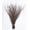 Brown, variant on 25 psc - Branches - 73 cm, Natural Birch Twigs, Pack of 20-25 Stems, Long for Floor vases, (White-Grey)