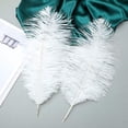thumbnail image 4 of Plumas grandes de avestruz blancas Ballinger, 35 — 40 cm, 12 unidades, 4 of 8