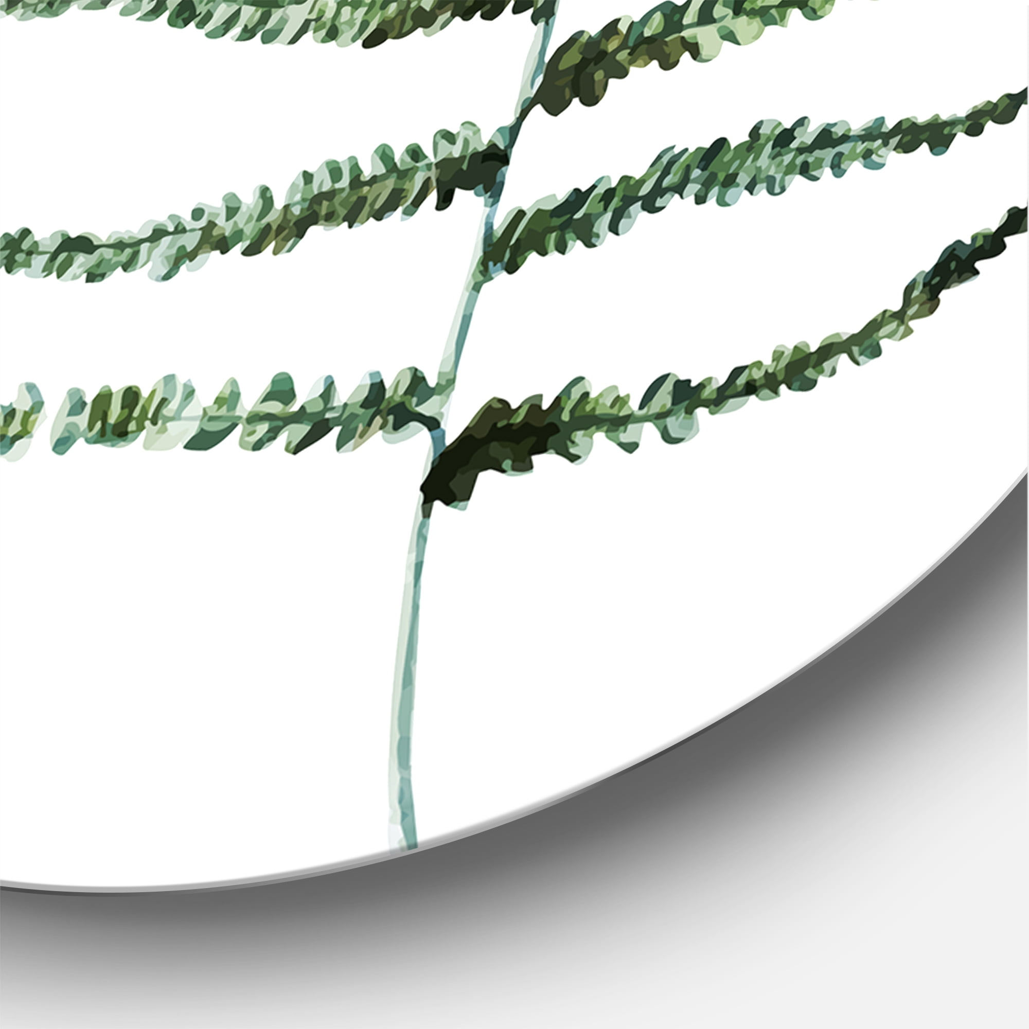 Designart 'Two Fern Leaves On White' Farmhouse Circle Metal Wall Art 36x36 - Disc of 36