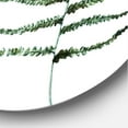 thumbnail image 3 of Designart 'Two Fern Leaves On White' Farmhouse Circle Metal Wall Art 29x29 - Disc of 29, 3 of 5