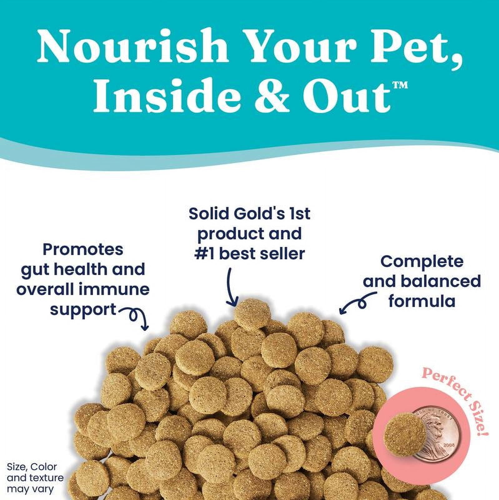 Solid Gold Hund-N-Flocken Holistic Adult Dry Dog Food, Lamb, 12lb.