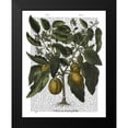 thumbnail image 2 of Fab Funky 15x18 Black Modern Framed Museum Art Print Titled - Peppers 6, 2 of 5