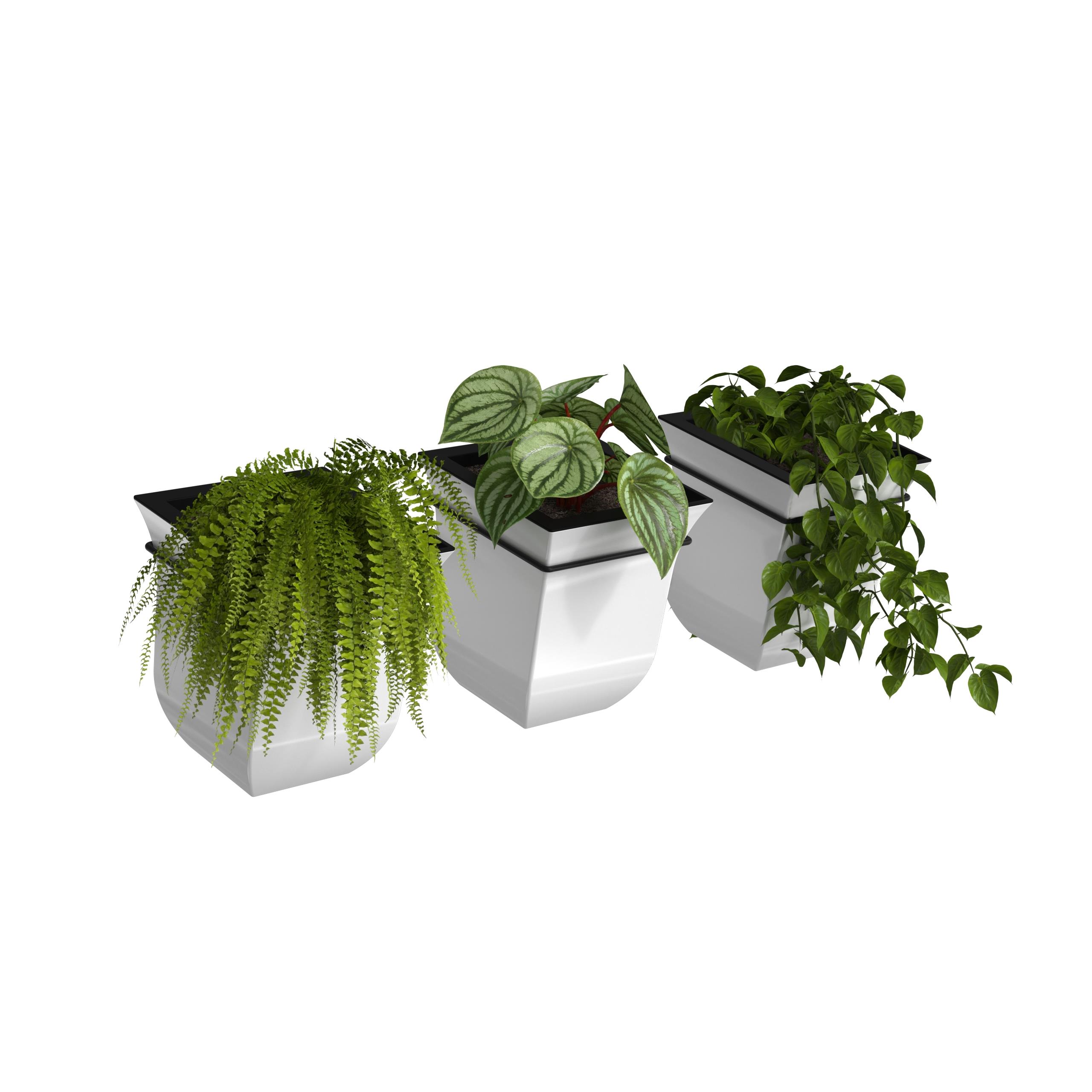 Mayne Valencia 7" x 7" x 8" Square Self Watering White Plastic Wall Mount Planter, 3-Pack