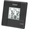 RAR381 Wireless Thermometer