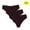 Coffee, variant on Timegard 3pc Thong for Women Plus Size Low Waist Comfy Panties Lightweight Briefs Breathable Underwear