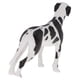 thumbnail image 3 of Figuras de acción de estatuilla modelo de perro animal realista juguetes de Zulema Modelo animal realista, 3 of 8
