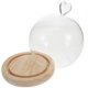 thumbnail image 5 of FELTECHELECTR juego de cúpula de cristal redonda con base de madera para exhibición de flores eternas., 5 of 7