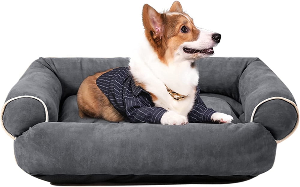 Comfort bed for dogs discount