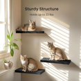 thumbnail image 3 of Floating Wall Shelves Set of 3, Black Invisible Bracket Design, Durable Floating Storage for Bedroom, Bathroom, Living Room, Kitchen Organization, 3 of 14