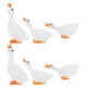 thumbnail image 4 of 6 mini cisnes de resina en miniatura, figuras luminosas de ganso, macetas, adornos de bonsái, 4 of 8