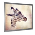 thumbnail image 2 of Designart 'Close Up Portrait of A Giraffe VII' Farmhouse Framed Art Print, 2 of 4