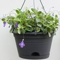 thumbnail image 2 of Aimiya Plant Pot Fall Resistant Eco-friendly Resin Black Hanging Flower Pot for Outdoor, 2 of 10