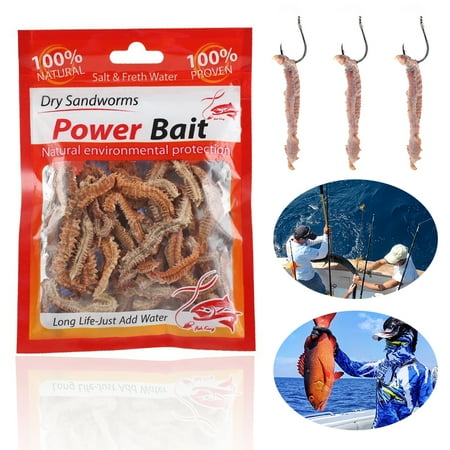 Dry Sandworms Fishing Lures Lifelike Dry Lugworm Sandworms Artificial Sea Worms