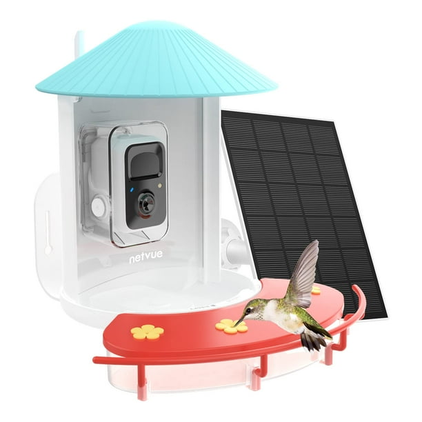 Smart Hummingbird Feeder with Camera for Outdoor Hummingbird Watching