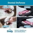 thumbnail image 5 of Pet Breath and Dental Heath Water Additive, 5 of 8
