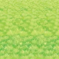 thumbnail image 1 of Themed Backdrops, 1 of 1