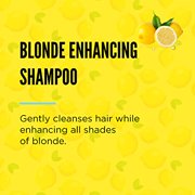 Blondie Locks Shampoo 8.45 oz