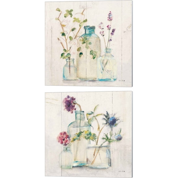 Great Art Now Blossoms Light by Cheri Blum 2 Piece Canvas Art Set Each 14"W x 14"H