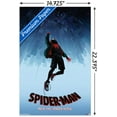 thumbnail image 3 of Marvel Spider-Man - Into The Spider-Verse - Falling Wall Poster, 14.725" x 22.375", 3 of 4