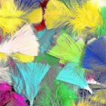 thumbnail image 2 of Colorful Feathers,300 Pieces Feather For Crafts Striking Feathers Natural Craft Feathers Goose/turkey Feathers For Diy Dream Catchers Wedding Baby Sho, 2 of 5