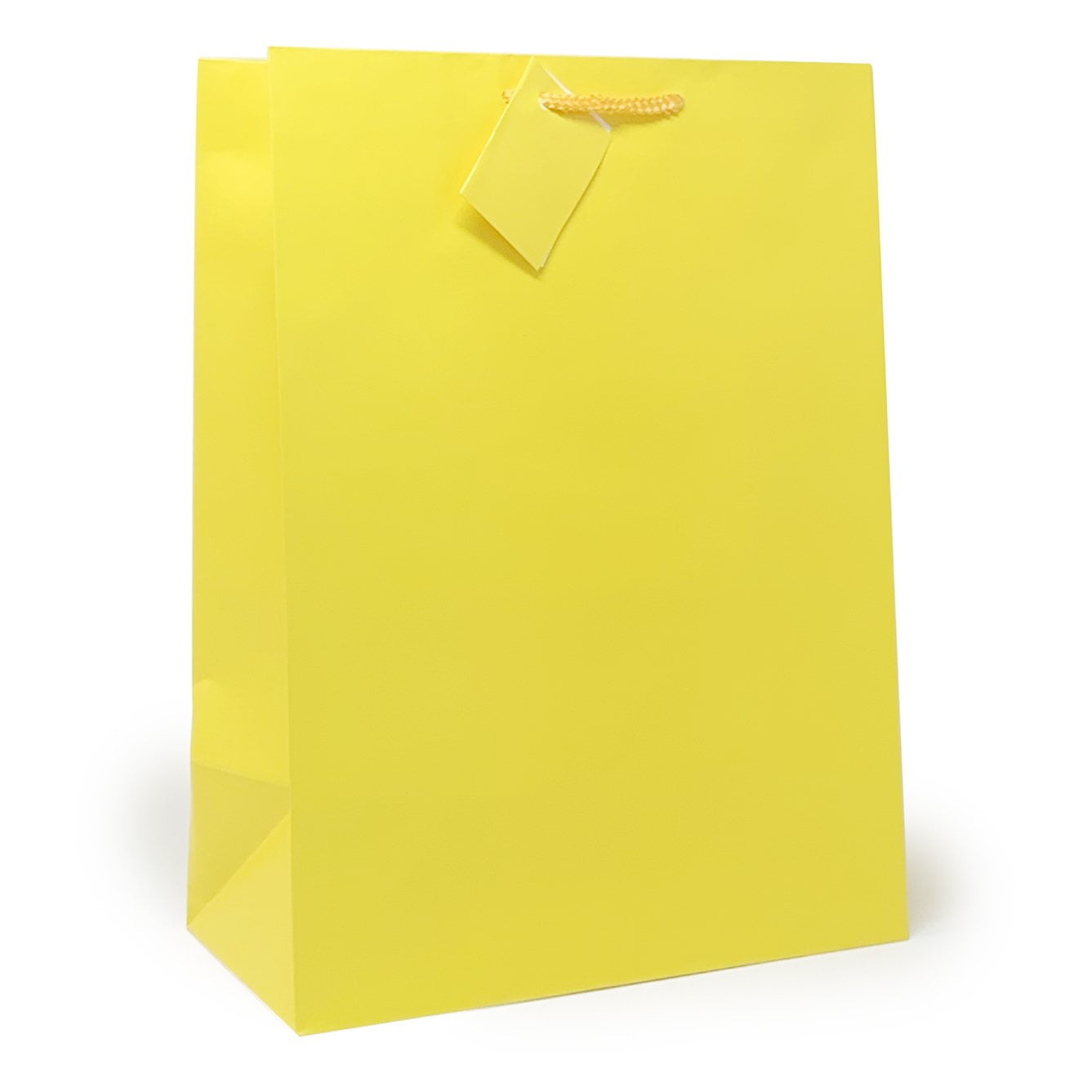 solid color paper gift bags