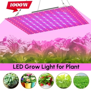 DONGPAI 25/45/60/80W LED Grow Light Panels, Full Spectrum/Red Blue  Phytolamp 81/169/216/312LEDs, Plant Light Grow Lamp with Daisy Chain, for