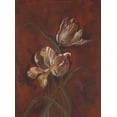 thumbnail image 2 of Smith Haynes 34x44 Gallery Wrapped Canvas Wall Art Titled - ., 2 of 4