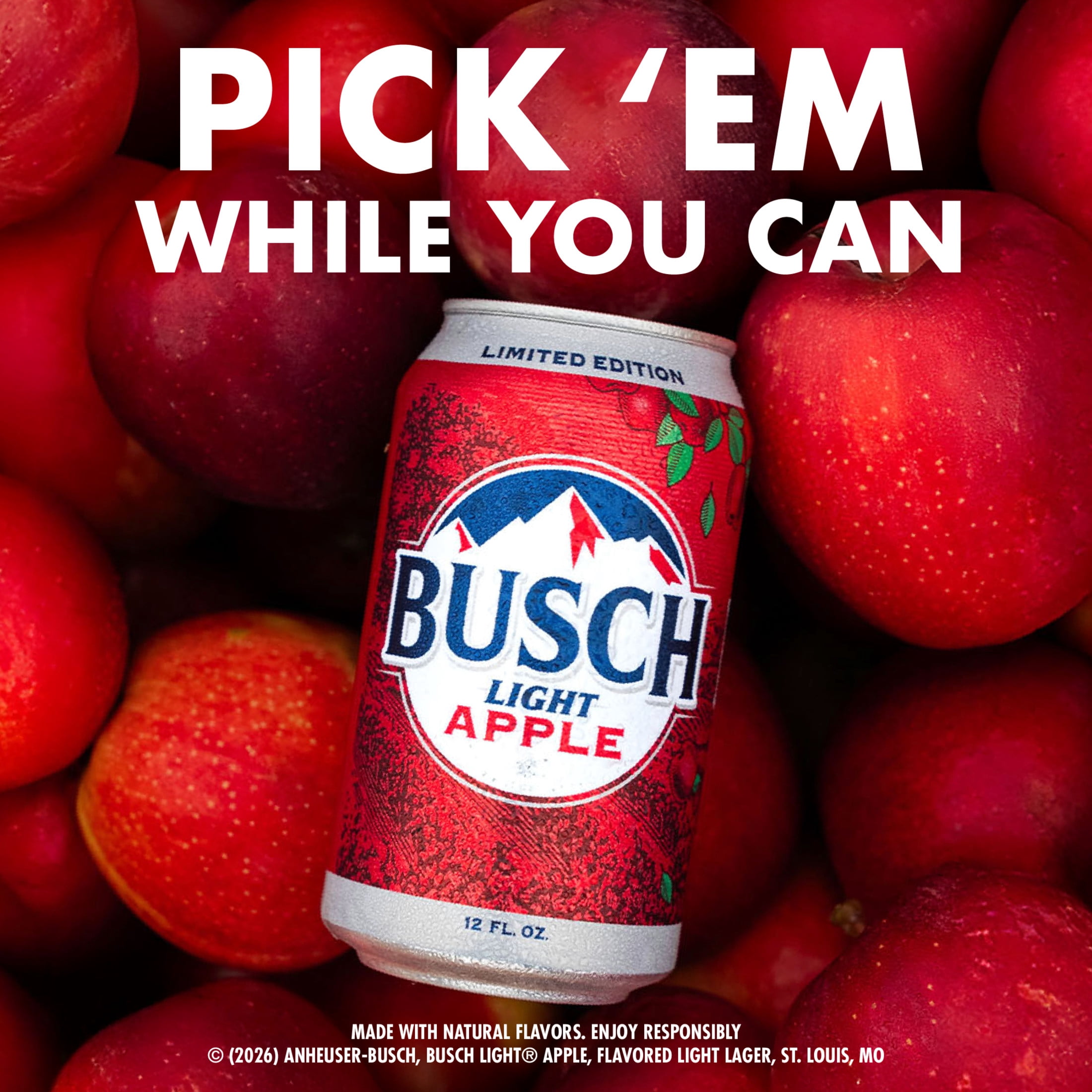Busch Light Apple American Lager Beer 30 Pack, 12 fl oz Cans , 4.1% ABV