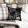 thumbnail image 3 of Trick or Treat Halloween Pillow Covers 18x18 Inch Black and White Spider Web Bat Pumpkin Halloween Decoration Throw Pillow Cases Ghost Spooky Cushion Cover for Sofa Couch Home Decor, 3 of 6