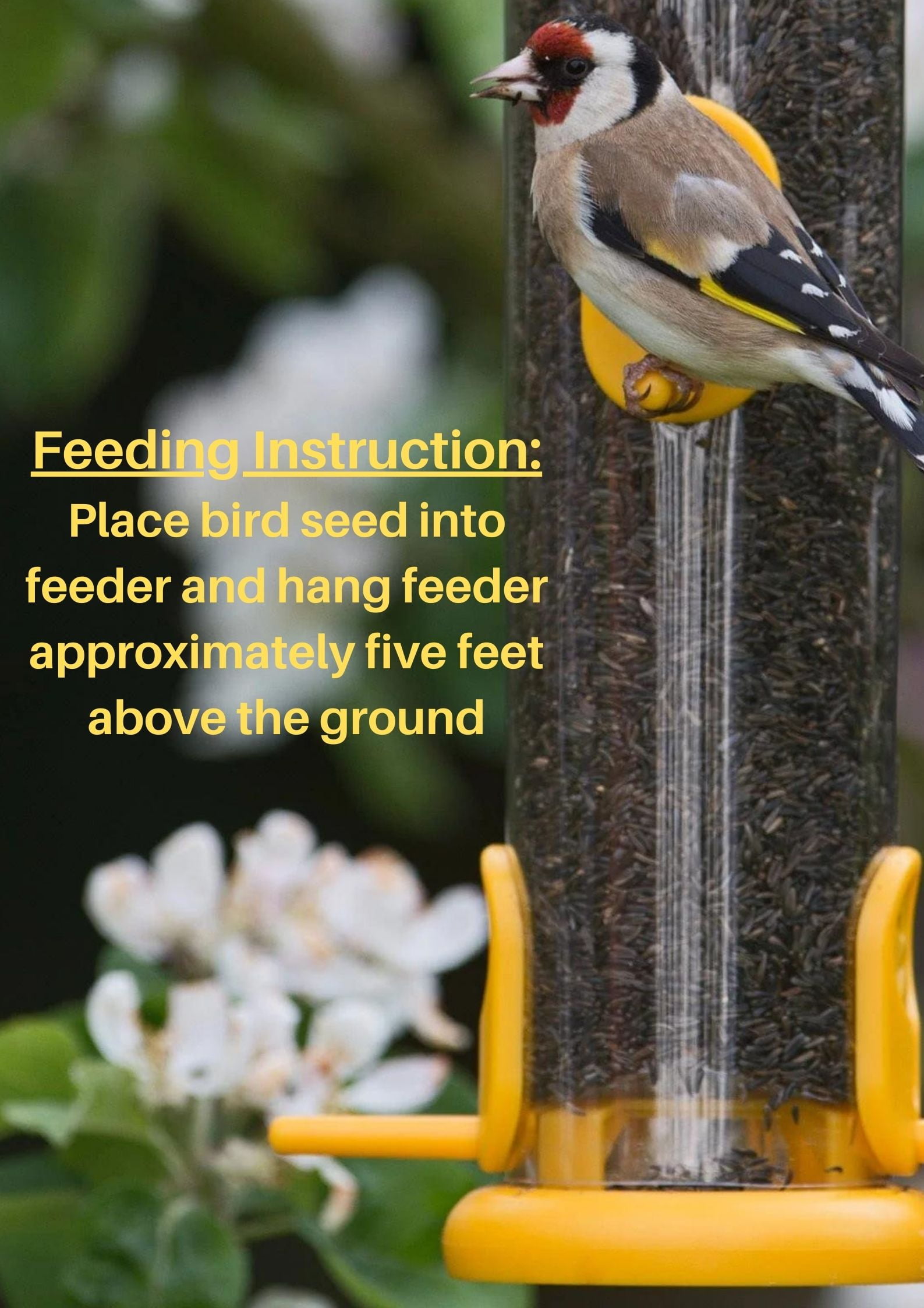 New Fine Nylon Feeder Sock with Natural Fresh Thistle Seeds for Wild Birds, 13 oz (0.369 kg) -1 Pack