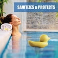 thumbnail image 4 of YAOMOBB Swimming Pool Accessories Cartoon Duck Shape Pool Tablet Dispenser for Swimming Pools, 4 of 6