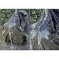 thumbnail image 5 of SM Green), 5 of 5