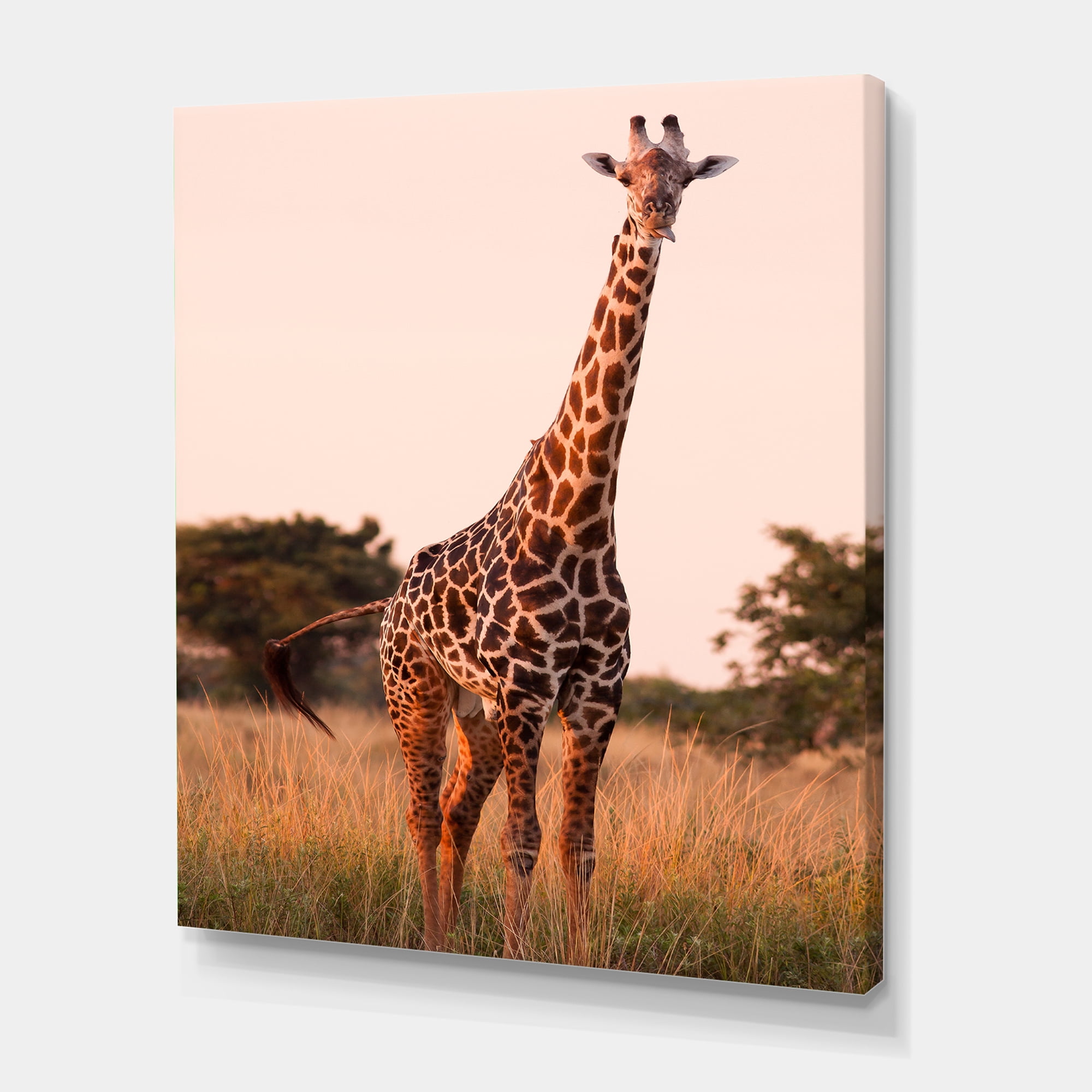 Designart ' African Giraffe In The Wildlife I ' Farmhouse Canvas Wall Art Print