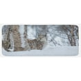 thumbnail image 1 of Animal Kitchen Mat, European Lynx Snowy Cold Forest Norway Nordic Country Wildlife Apex Predator, Plush Decorative Kitchen Mat with Non Slip Backing, 47" X 19", Pale Brown White, by Ambesonne, 1 of 1