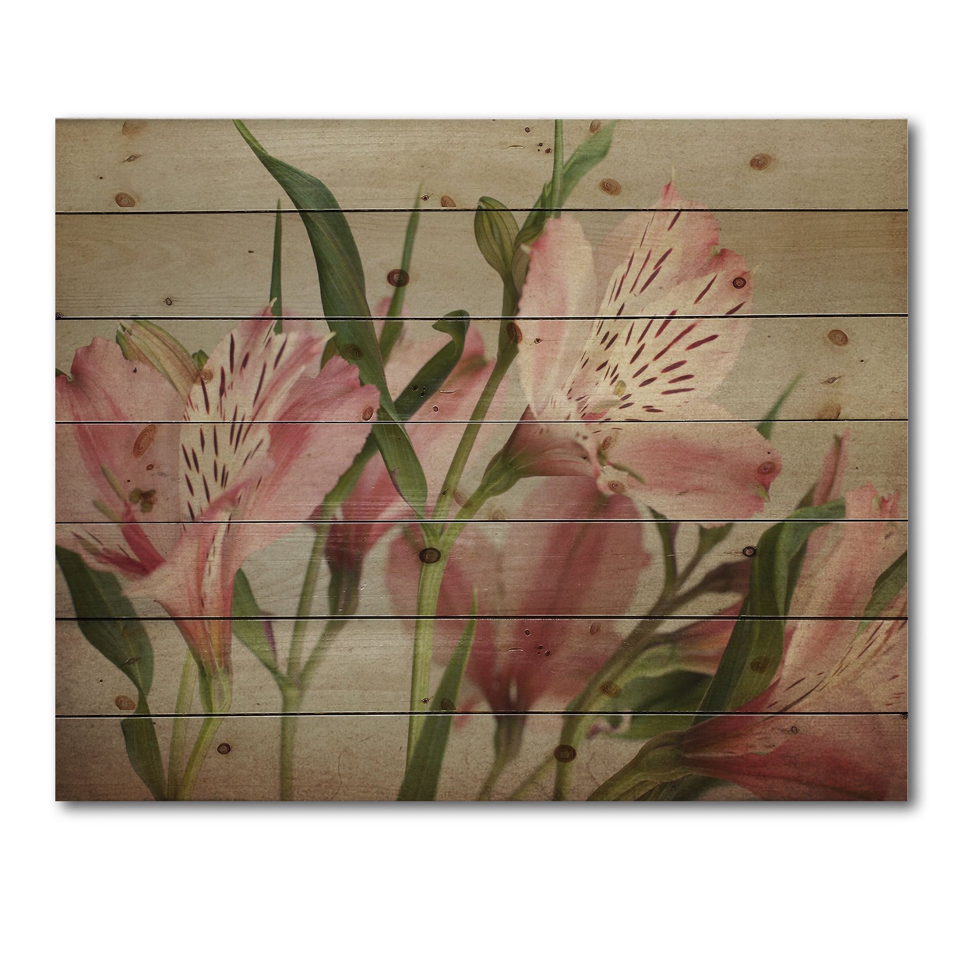 Designart 'Alstroemeria Flower Retro ' Traditional Print on Natural Pine Wood